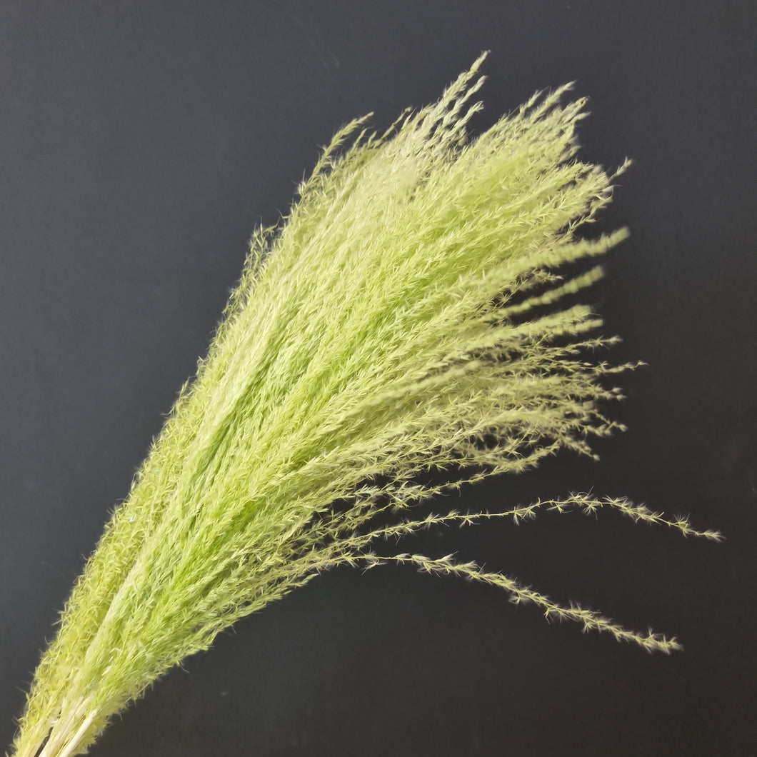 Hossu grass Green