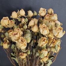 Load image into Gallery viewer, Dried Spray Roses Cream
