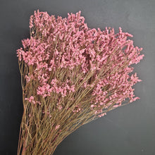 Load image into Gallery viewer, Caspia  Pink
