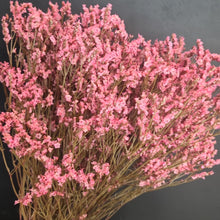 Load image into Gallery viewer, Caspia  Pink
