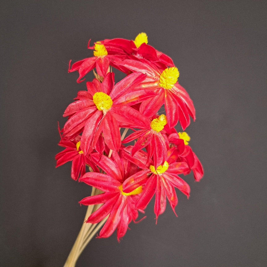 Hand Made Flowers - Daisy Red