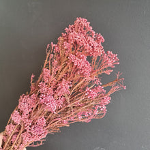 Load image into Gallery viewer, Rice Flower Dark Pink
