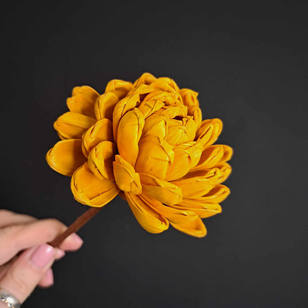Sola Flower Super Nova - Mustard