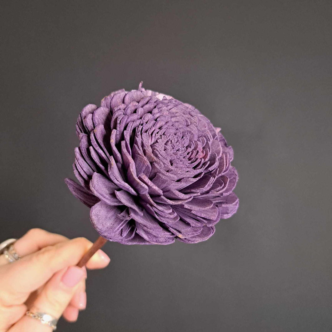 Sola Flower Beli - Purple