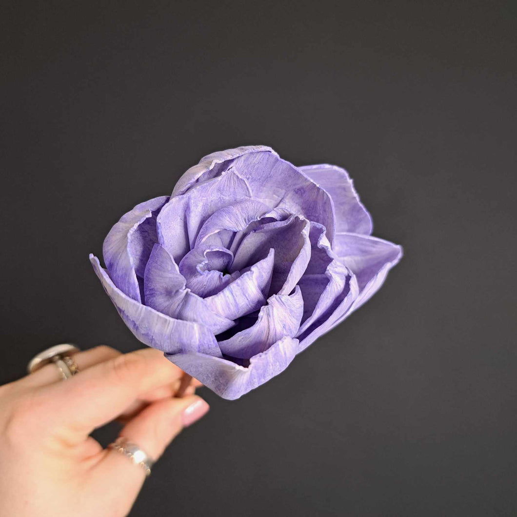 Sola Flower Irresistible - Lilac