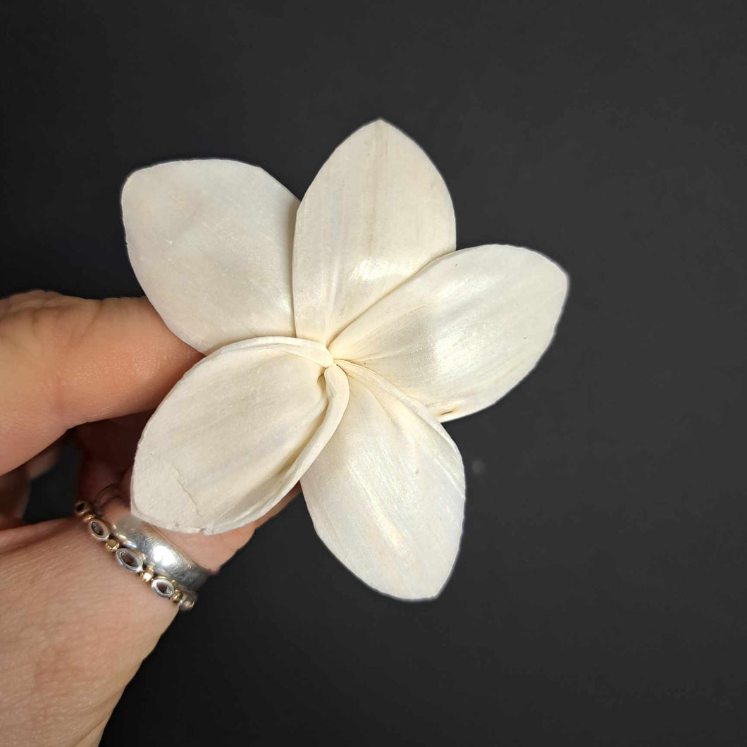 Sola Flower head - 6cm Frangipani
