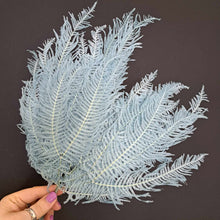 Load image into Gallery viewer, Mini Fern  Blue
