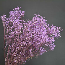 Load image into Gallery viewer, Gyp Purple
