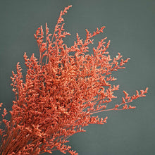 Load image into Gallery viewer, Limonium/Misty Red

