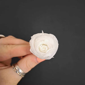 Wedding Rose Heads 2-3cm Spray - White