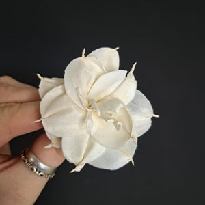 Sola Flower head - 4cm Clematis