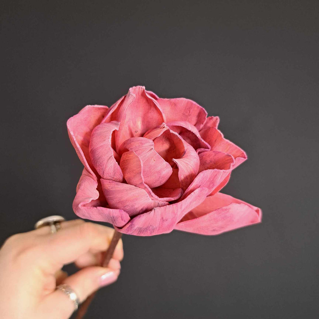 Sola Flower Irresistible - Dusky Pink