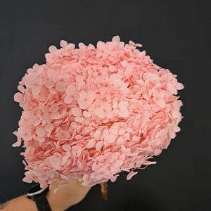 Hydrangea Small Petal - Pink
