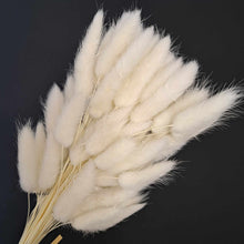 Load image into Gallery viewer, Bunny Tails Bleached
