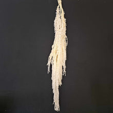Load image into Gallery viewer, Amaranthus Bleached
