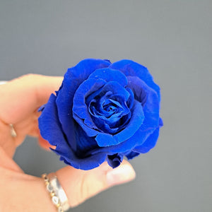 Standard Rose Heads -Dark Blue