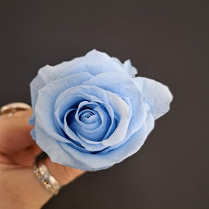 Standard Rose Heads - Light Blue