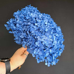 Hydrangea Small Petal - Blue