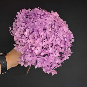 Hydrangea Small Petal -Purple