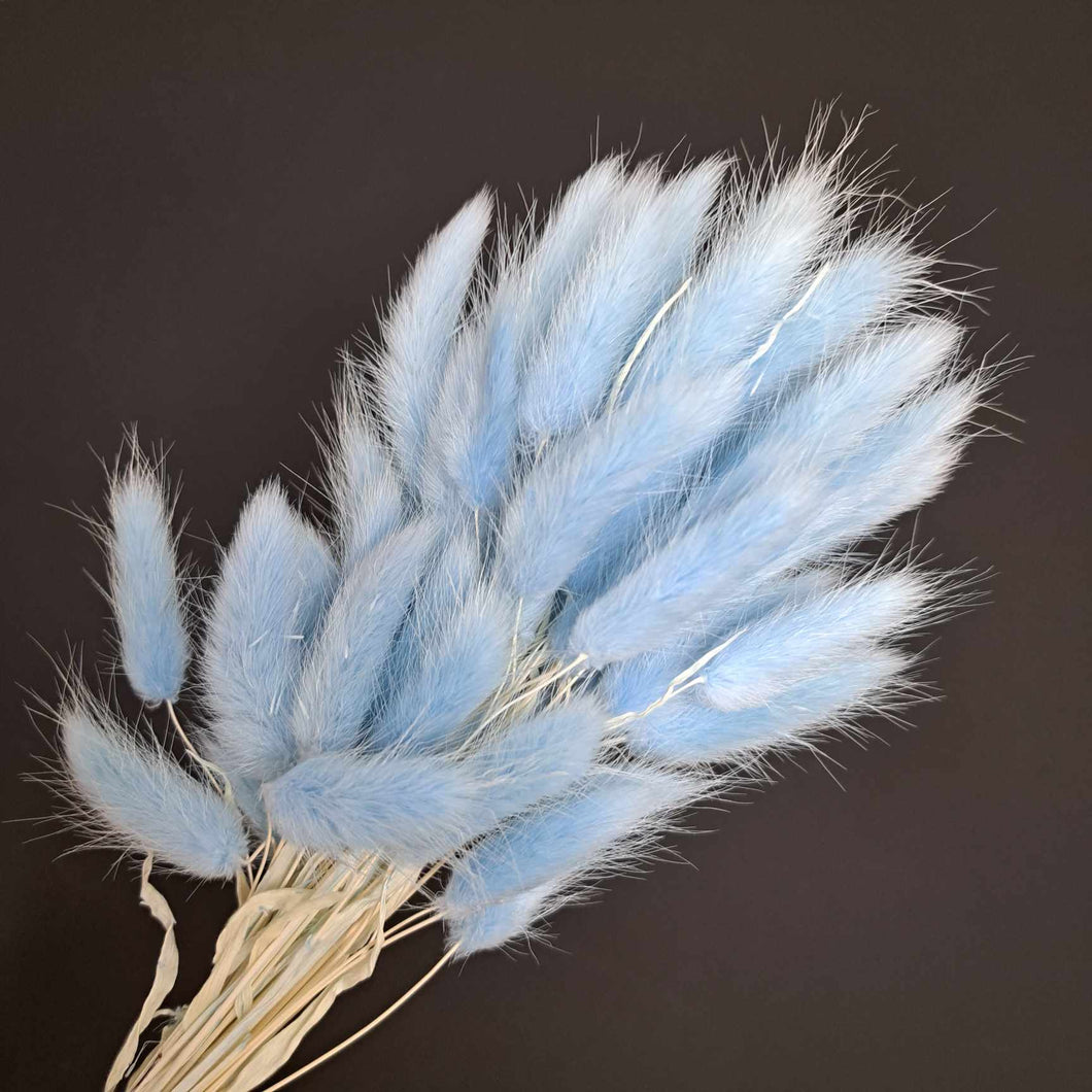 Bunny Tails Blue