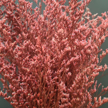 Load image into Gallery viewer, Limonium/Misty Red
