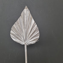 Load image into Gallery viewer, Palm Spear Silver
