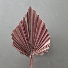 Load image into Gallery viewer, Palm Spear Chocolate
