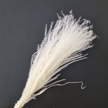 Load image into Gallery viewer, Hossu grass Bleached
