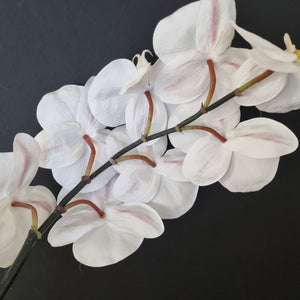 Premium Artificial Phalaenopsis Stem - White