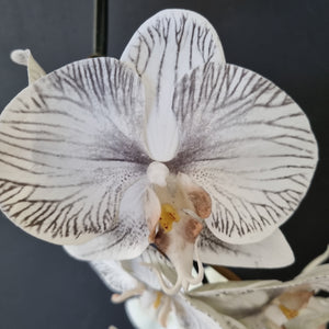 Premium Artificial Phalaenopsis Stem - White/Black