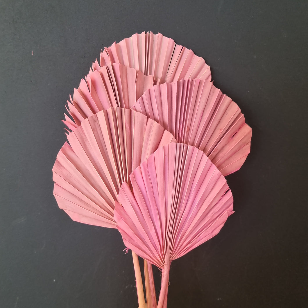 Palm Round Light Pink