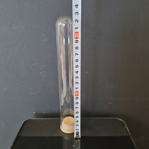 Glass Tube - Height 23cm/Width 4cm