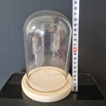 Load image into Gallery viewer, Glass Domes- H16cm D10cm
