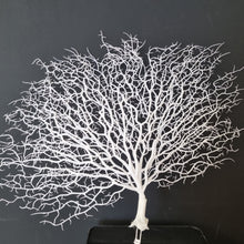 Load image into Gallery viewer, Coral Branches Plastic White
