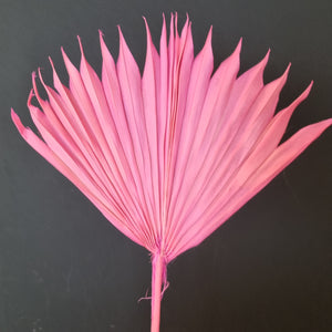 Palm Suncut Pink