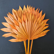 Load image into Gallery viewer, Palm Suncut Orange
