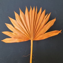 Load image into Gallery viewer, Palm Suncut Orange
