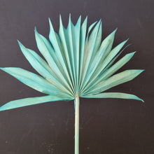 Load image into Gallery viewer, Palm Suncut Teal
