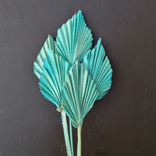 Load image into Gallery viewer, Palm Spear Teal
