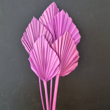 Load image into Gallery viewer, Palm Spear Lilac

