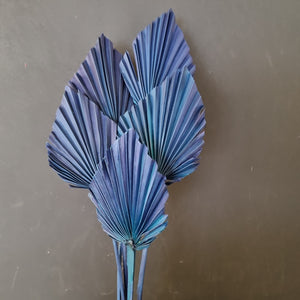 Palm Spear Blue