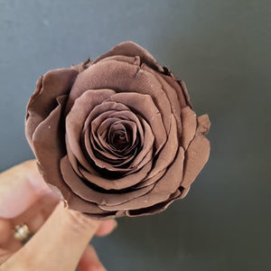 Wedding Rose Heads -Dark Chocolate