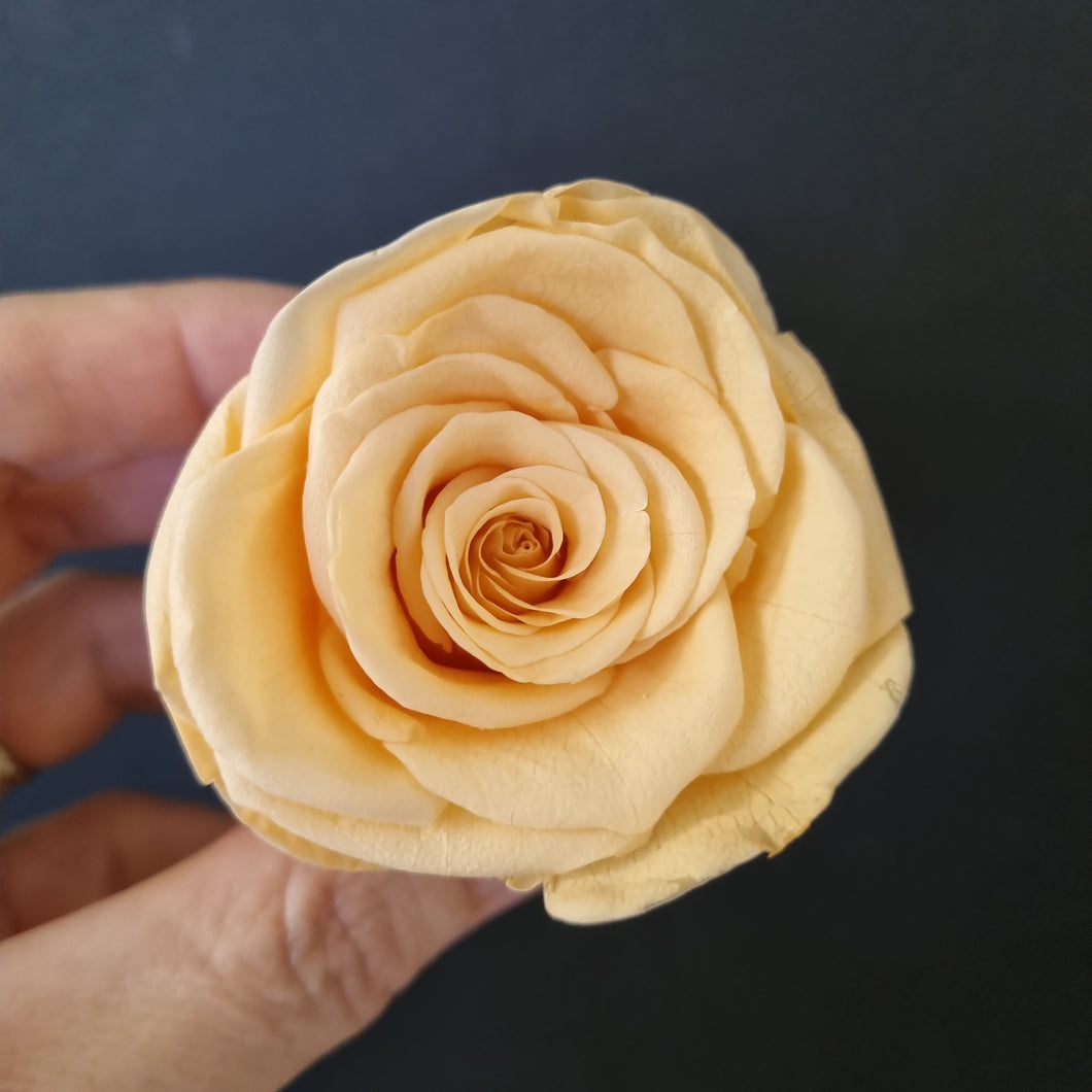 Wedding Rose Heads -Peach