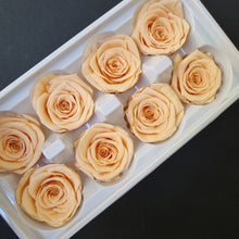 Load image into Gallery viewer, Wedding Rose Heads -Peach
