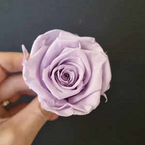 Wedding Rose Heads -Peach