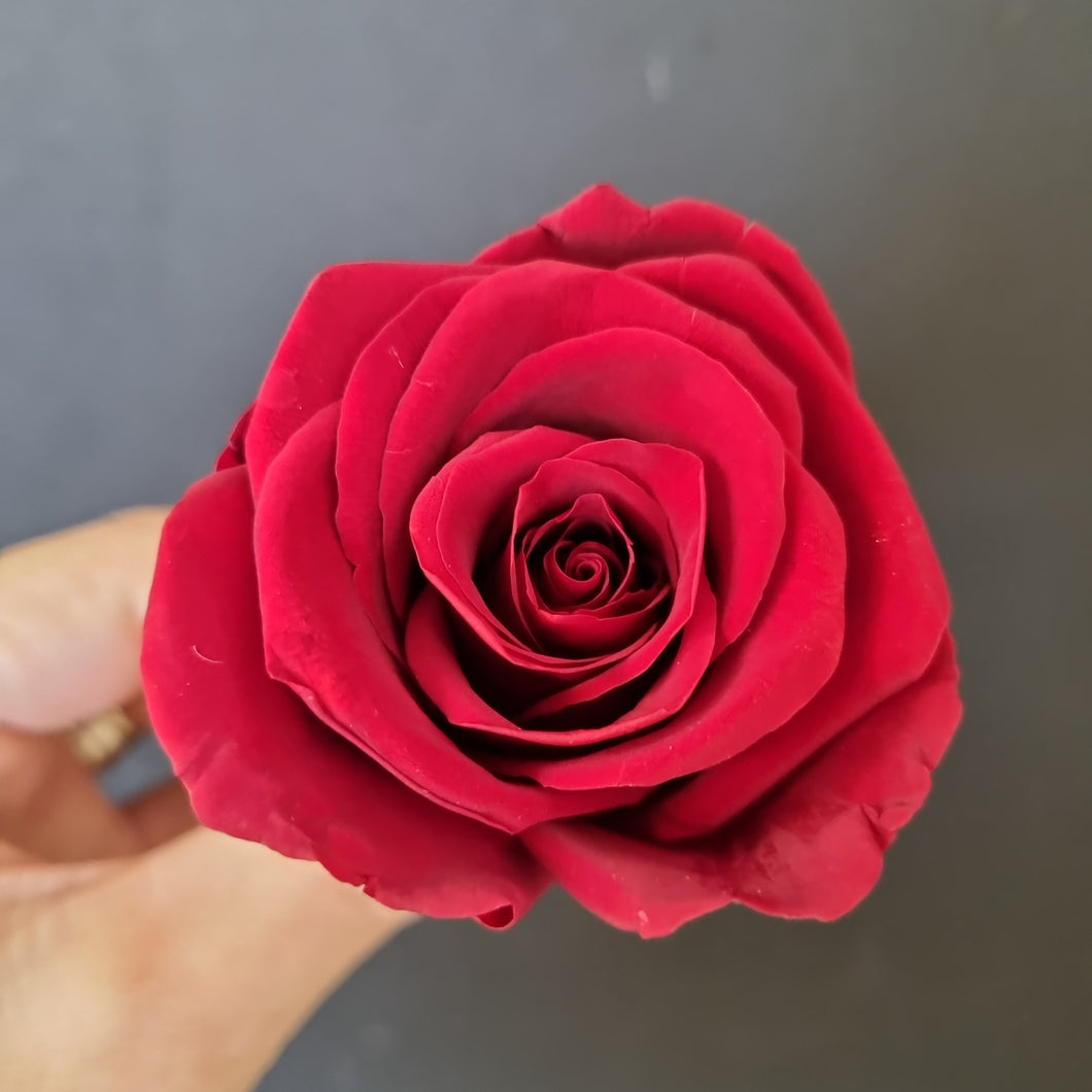 Wedding Rose Heads - Dark Red