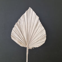 Load image into Gallery viewer, Palm Spear Cut White Washed Large
