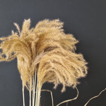 Load image into Gallery viewer, Miscanthus grass NZ Natural
