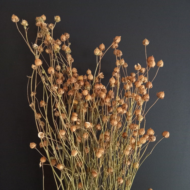 Linseed Natural