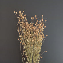 Load image into Gallery viewer, Linseed Natural
